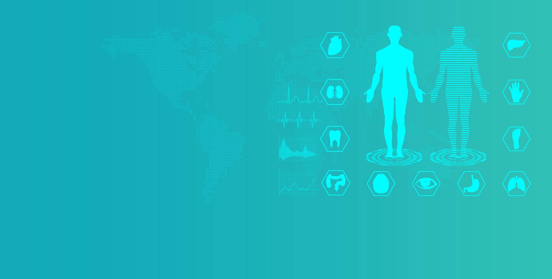 LEwin乐玩再生  类器官转化研究深耕者